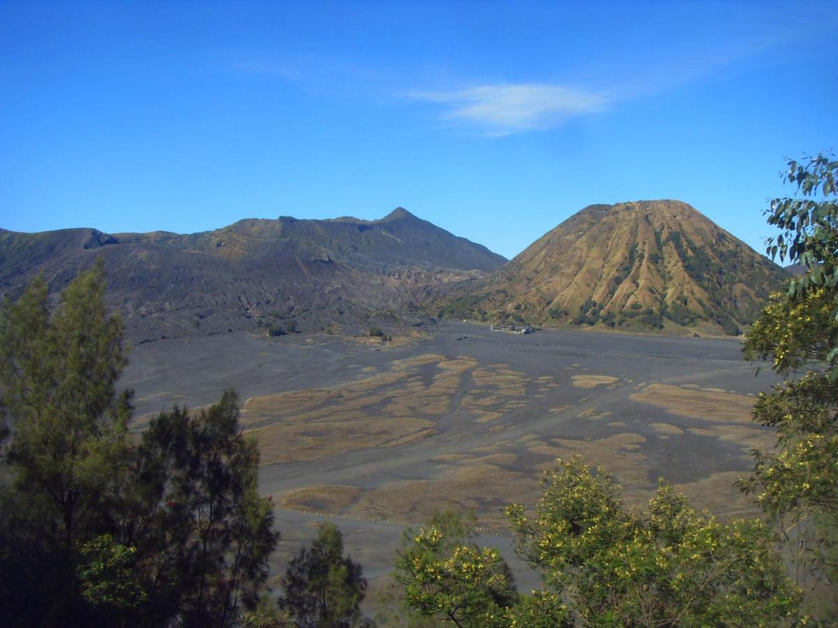 Cahyo Homestay Bromo Eksteriør billede